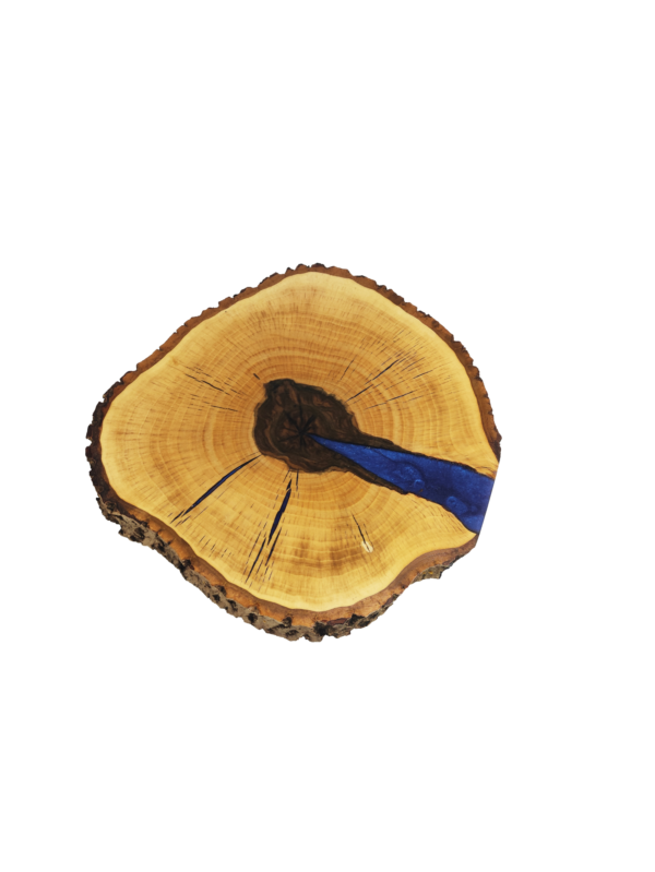 Kwietnik z plastra drewna z niebieską żywcią