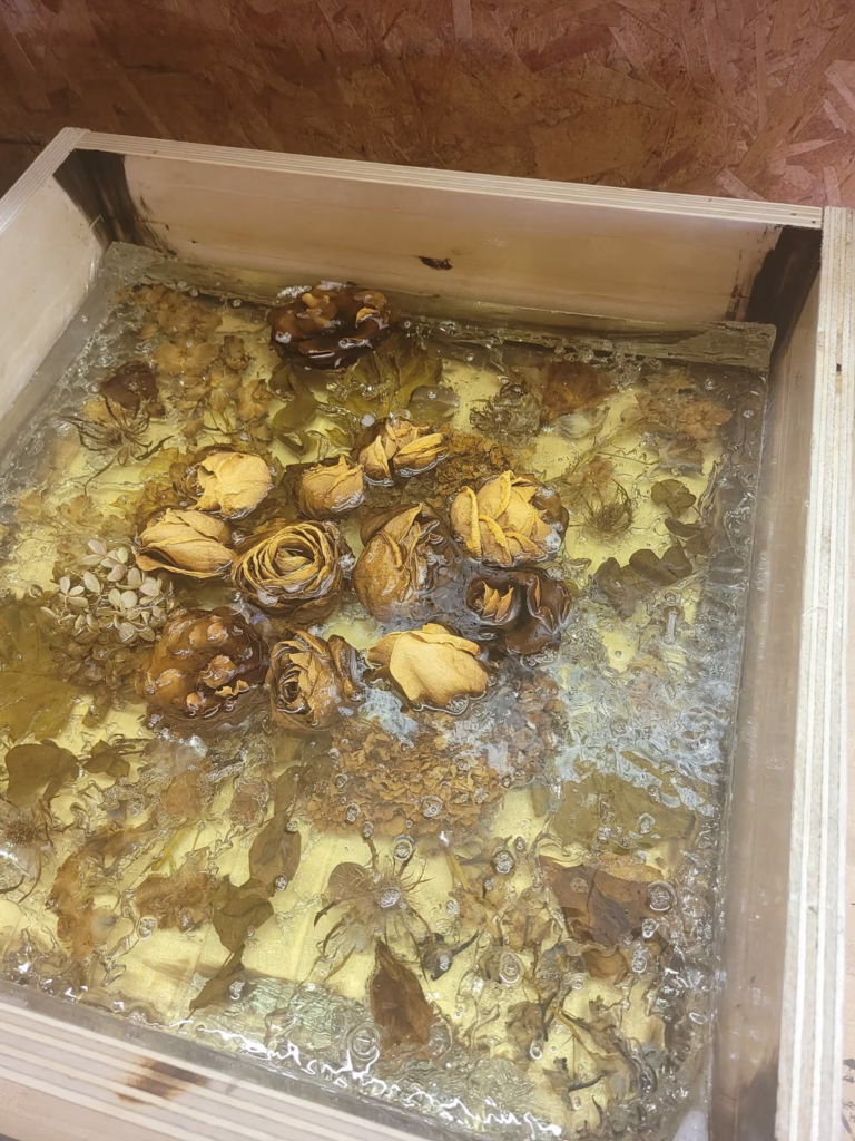 Czy można zatopić żywe kwiaty w żywicy? 3 Dlaczego nie zaleca się zatapiania świeżych kwiatów